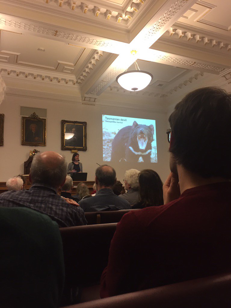 yosoykit's tweet image. 😈 sigh. Genetics shows founding devil for devil facial tumour disease was female #evewasframed. Dr Murchison- brill