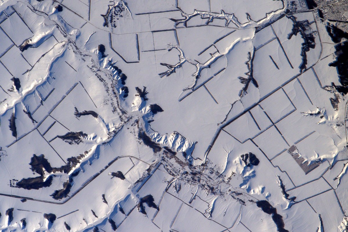 Thom_astro's tweet photo. Les paysages enneigés me rappellent parfois ce que j’observe, dans la journée, sous les microscopes des expériences de biologie! 🔬 https://t.co/sgcVqx7FOo