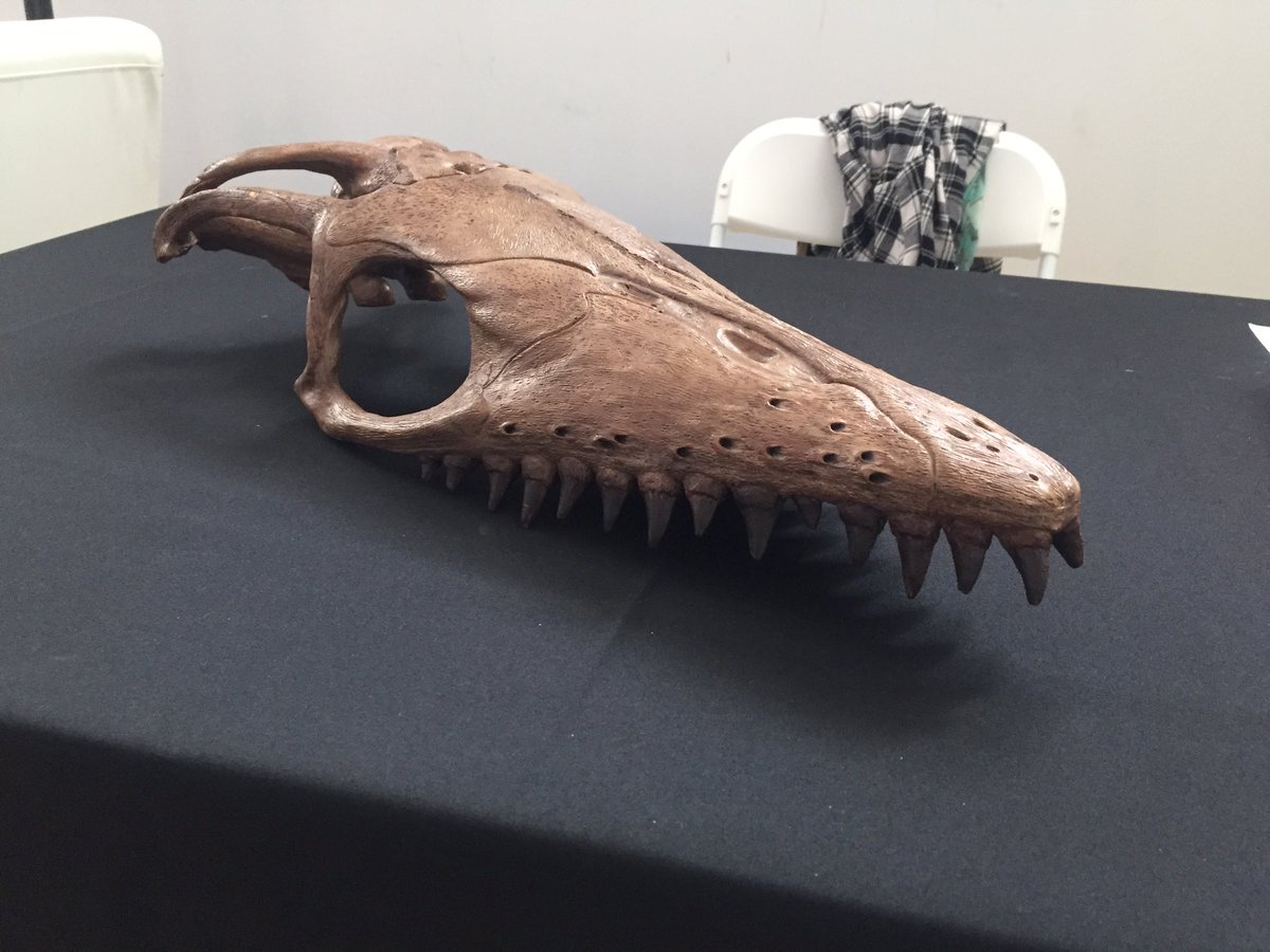 ashinonyx's tweet photo. I'll be camped out (haha, get it?) in Bronfmann Hall @ROMtoronto today until 2:30 talking about the mosasaur Platecarpus! https://t.co/QO1cL5xuoH