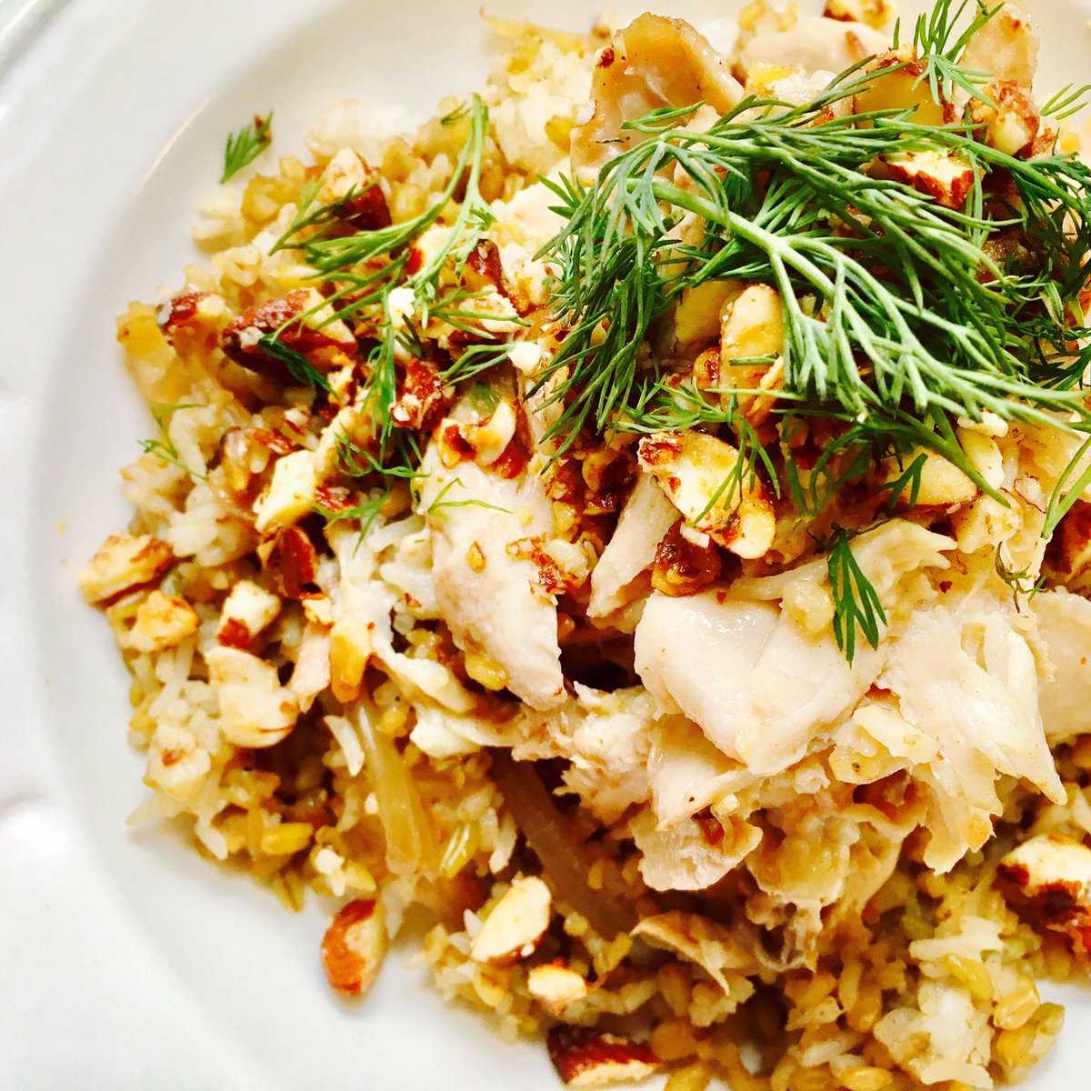 We're feeling freekeh at café urban today! 
🍽🤤
Venez chez café urban aujourd'hui et essayer ce plat Méditerranée au poulet et freekeh!
#miam