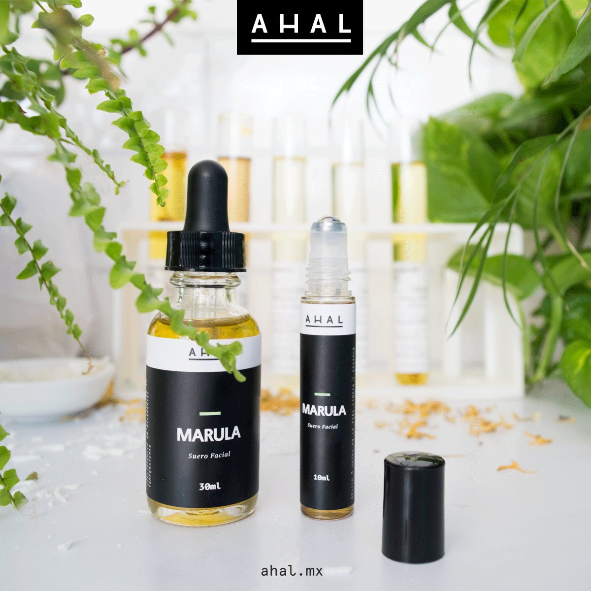 #MiDiaSiempreinicia lavando mi cara y nutriéndola de antioxidantes con mi suero facial con #Marula  🔎bit.ly/2jkKlur