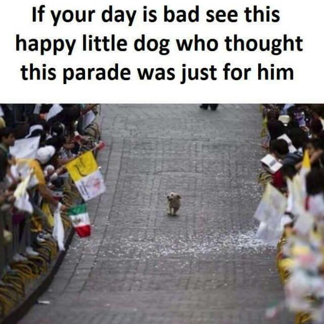 Akash ✨ tweet media