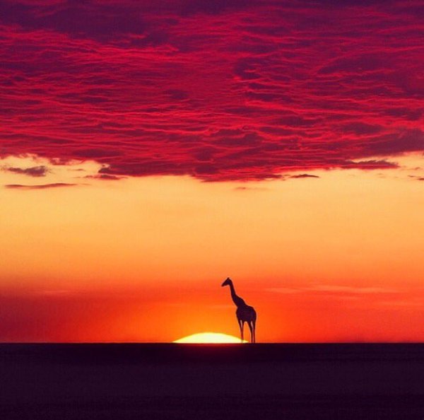 EarthPicsDaily's tweet photo. Africa https://t.co/PRgzgkbGFQ
