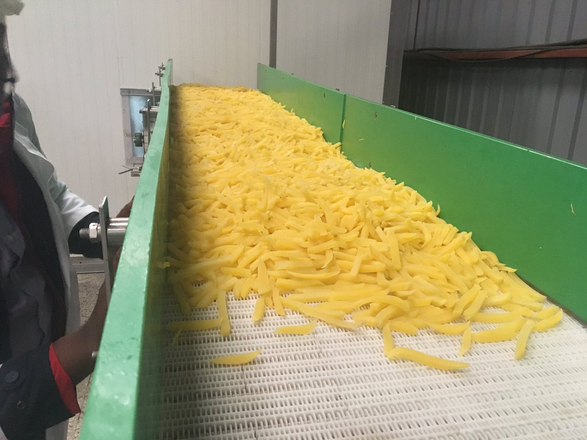 Dutch suppliers avail Kisoro Potato Processing Factory with quality potatoes for frozen chips. Facility co-funded by the Dutch PSI program