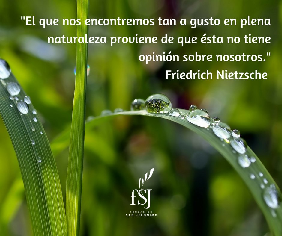 FundaciónSanJerónimo tweet media