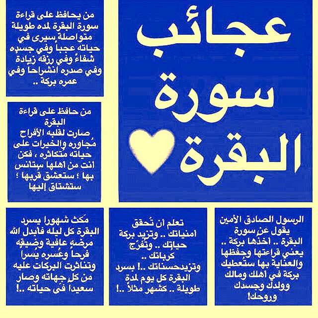 Vam4ami5HyeSQL6's tweet photo. @alshohooh3211 عجايب صوره البقره https://t.co/ytqaBnXUvR