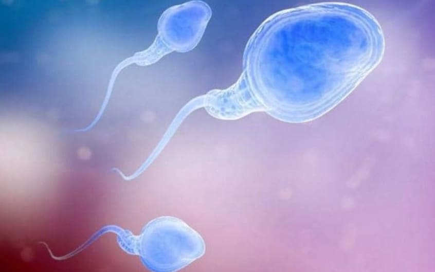 ivftucson's tweet photo. Breakthrough brings hope of simple drug to treat male infertility
#infertility #tucson #arizona...https://t.co/2HAkyvDHNb https://t.co/ELiGyQmA0Q