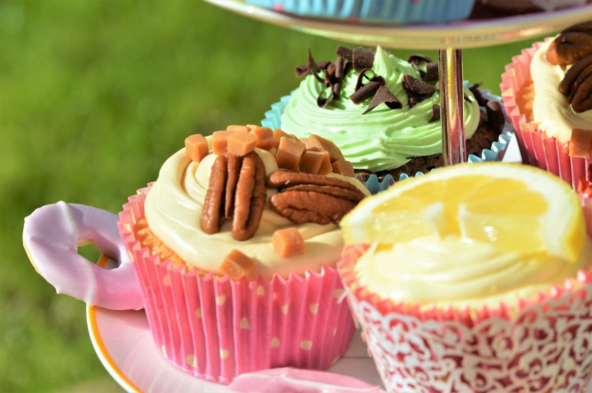 lottie_flint's tweet photo. New Post! I made some Summer Party Cupcakes! Check it out here! https://t.co/cS69iVKo07
#cupcakes #baking #blogger #yummy #summer #party 😺 https://t.co/2Rspts5ode