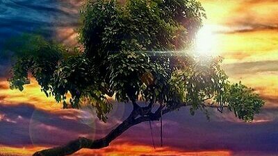 💗
 🏅#ʆ๑౮౯_ƒ4ƒ🍃🌹 🏅👇

💜▪Da Rt y Fav⤵
💜▪Sigue todos los Rts y Fav
💜▪Gana Amigos y Seguidores

》Sigue👉 👑 <a href="/3Almonzer/">🌹🦋💞💜ᎯℒℳᎾℕℤℰℛ💜💞🦋🌹</a>   👑

🔓💯#SiguemeYTeSigo💗