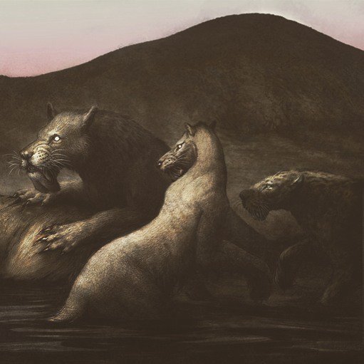 leonardoalannis's tweet photo. #Sabertooths part I: #barbourofelis #homotherium #xenosmilus https://t.co/LMr7HtkqWC
