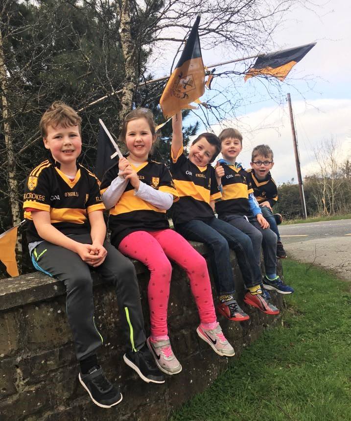 DrCrokesGAA's tweet photo. Wishing Pat, Gavin and All the Dr Crokes Team the Best of Luck tomorrow from all your neighbours on the Tralee Road https://t.co/IJPgTa1vPZ