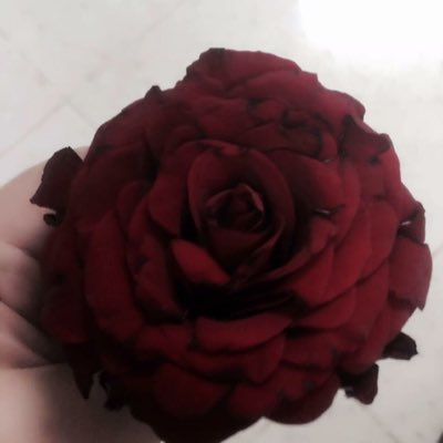 luckyheart1981's tweet photo. #NewProfilePic https://t.co/ScDWpgWzyI