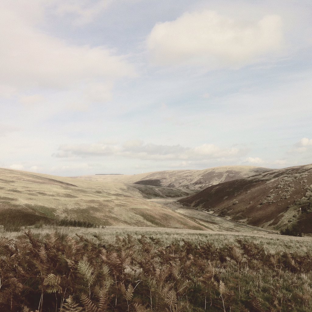 for 6 weeks , 2014 . writing for Be Kind