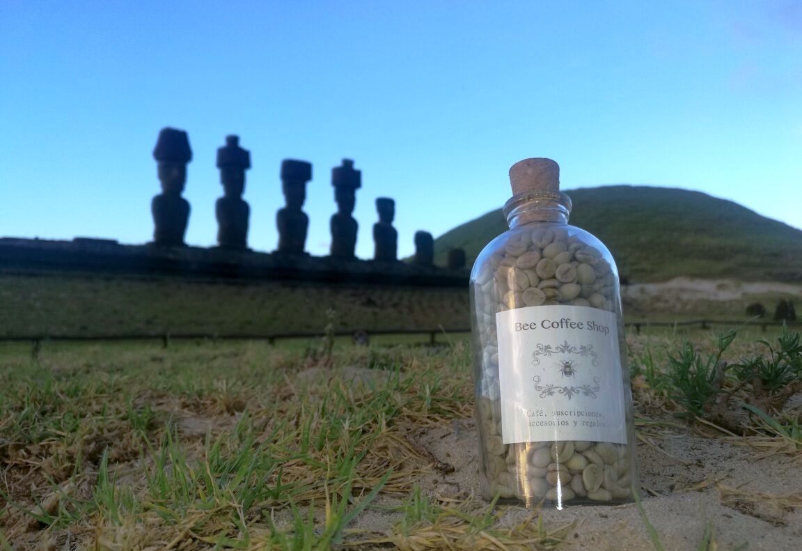 thisisChile's tweet image. How Specialty-Grade Coffee from Chile Could Become a Real Thing | via @DailyCoffeeNews | bit.ly/2mME9gm