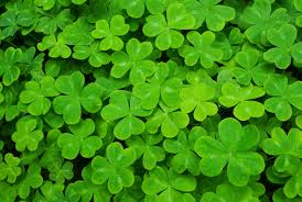 You don't have to be #Irish to be #lucky on #StPatricksDay: Get all the #beer, #whiskey, #livemusic &amp; eats you need~
thelistareyouonit.com/event-list/201…