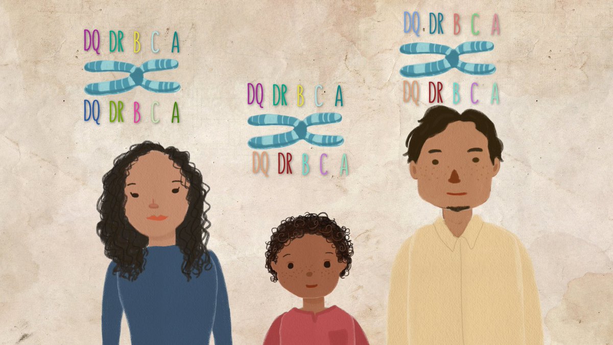 CIRMnews's tweet image. Mixed Matches: How Your Heritage Can Save a Life. Learn about @MixedMarrow @MixedMatchMovie #mixedmarrow #mixedmatch bit.ly/2myeuXV