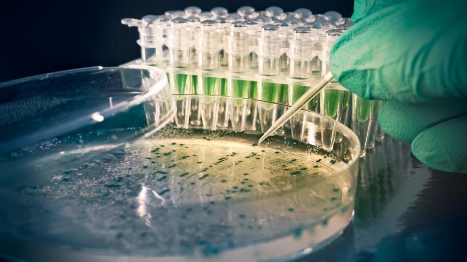 edqm_news's tweet image. EDQM #Microbiology Symposium 10Oct. alternative &amp;amp;  #rapidmethods 4 #microbialdetection of #Yeast #Molds bit.ly/2n9ghGJ