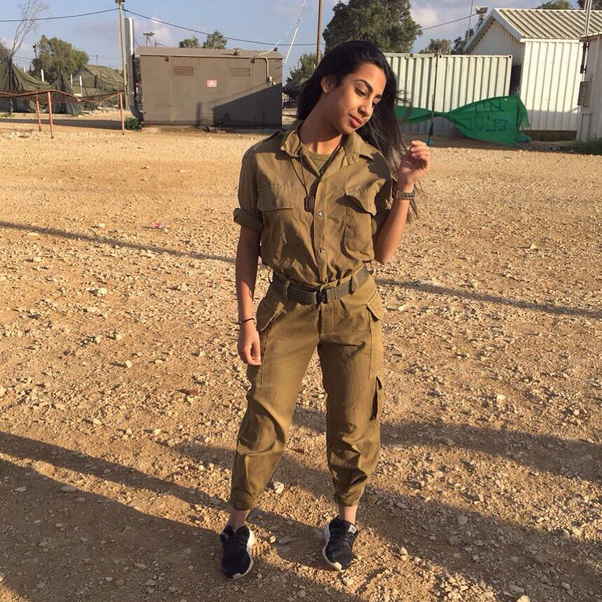 לין כהן tweet media