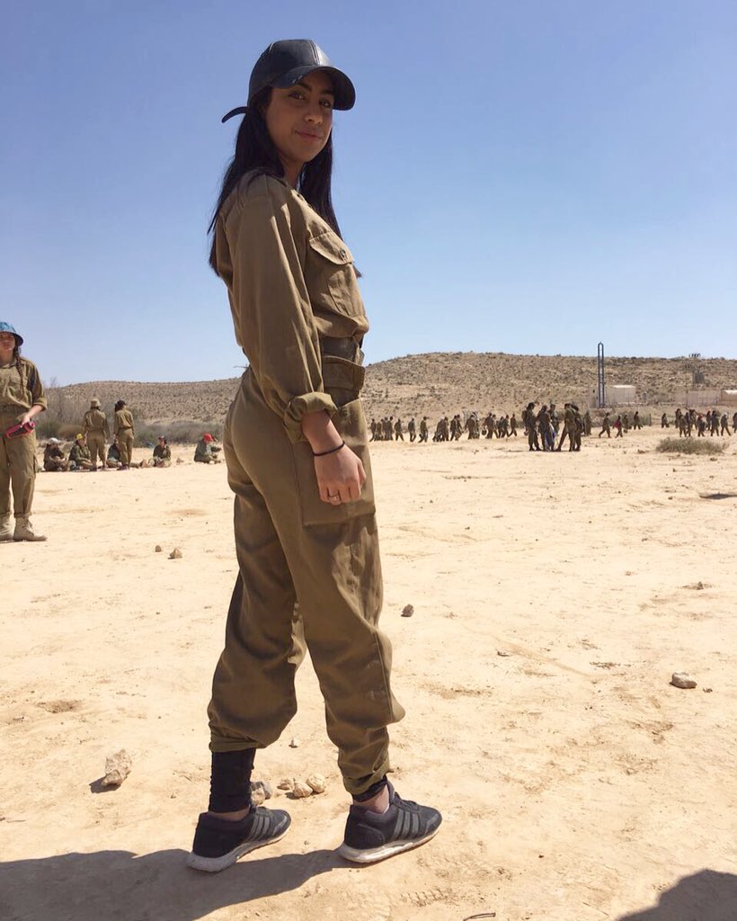 לין כהן tweet media