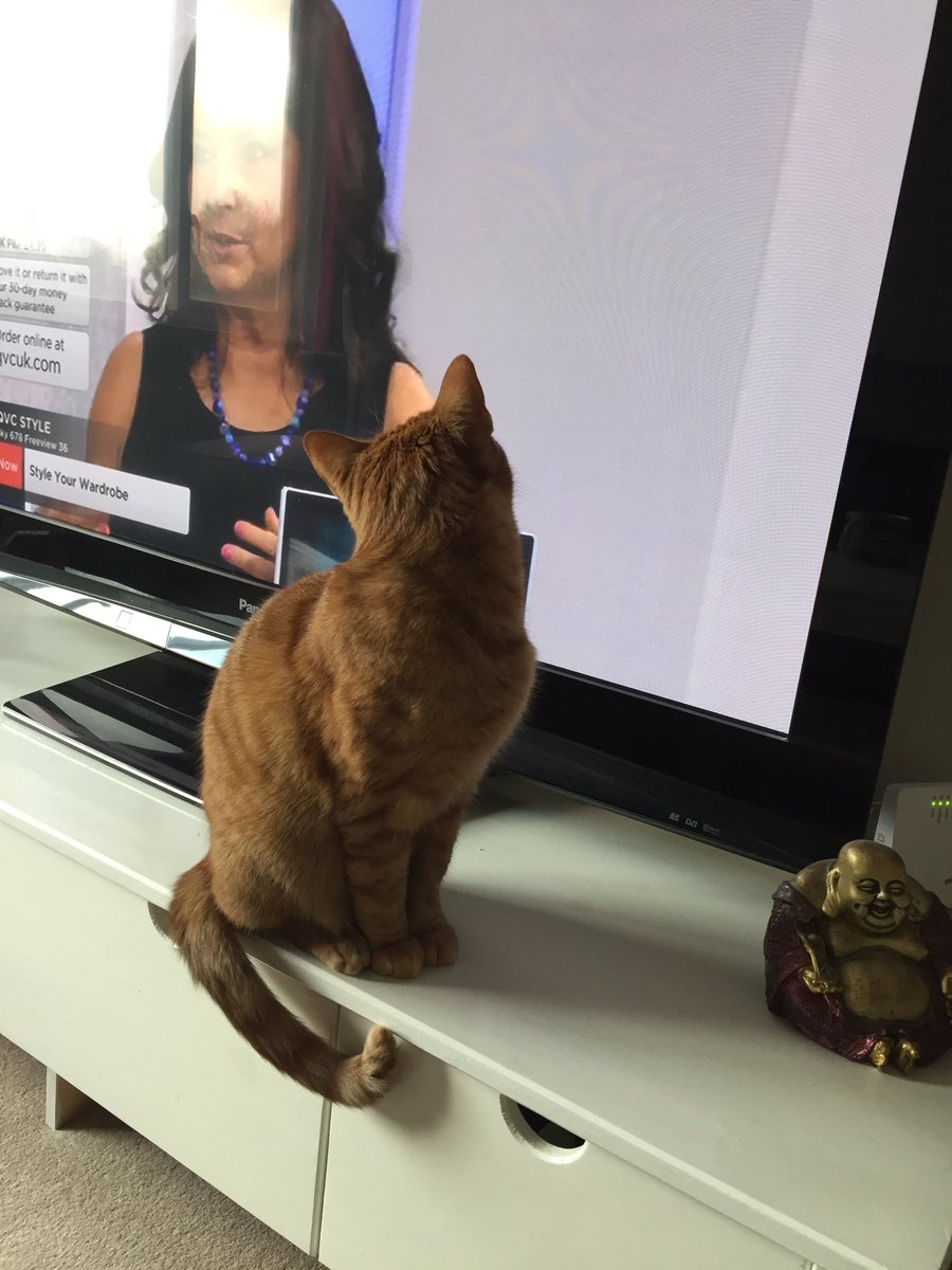SophieMax1's tweet photo. Your biggest fan @JuliaRobertsTV 😻😻 https://t.co/FA7ucO5zEp