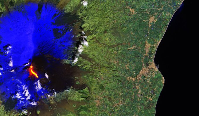 View image on Twitter