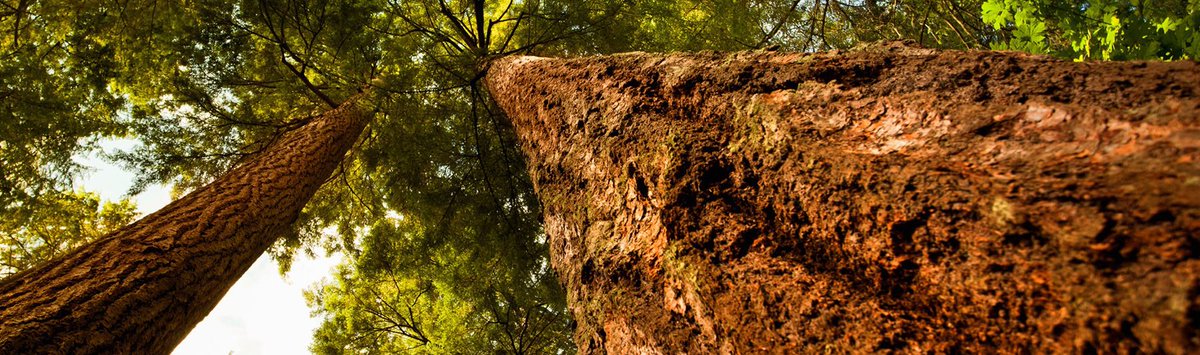 myCCNMBoucher's tweet photo. We've redesigned our website with you in mind. Take a look! #binm #boucher #naturopathicmedicine #newwest
https://t.co/yW4dDeitTW https://t.co/TcSmIVJ8zT