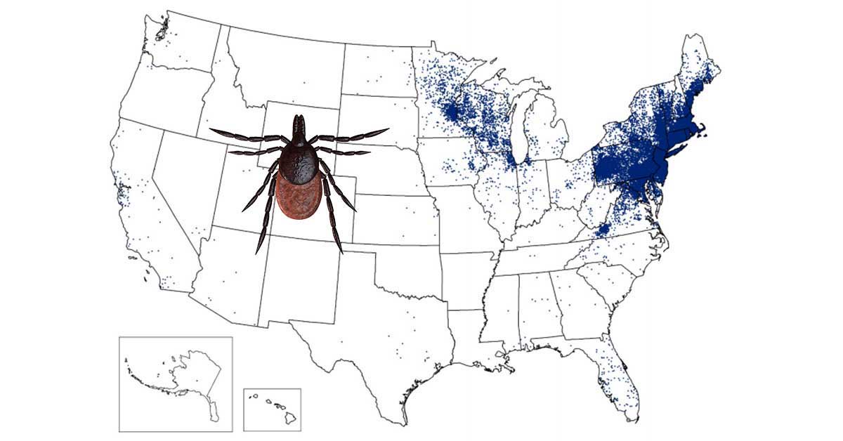 2017 forecast to be worst year for ticks, Lyme: Best Ways to Protect Yourself from #Lyme, #Zika #backpacking #hiking goo.gl/wkfzbg
