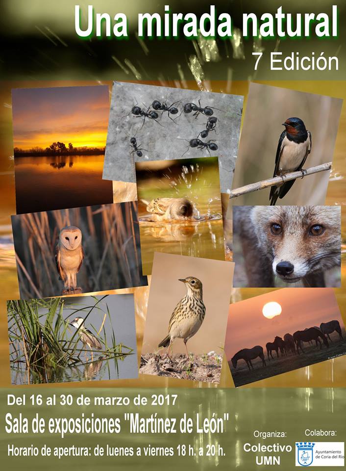 Del 16 al 30 de marzo #exposición fotográfica "Una mirada natural" en la sala Martínez de León de #CoriadelRío. <a href="/aytocoriario/">Ayto. Coria del Río</a> #ColectivoUMN