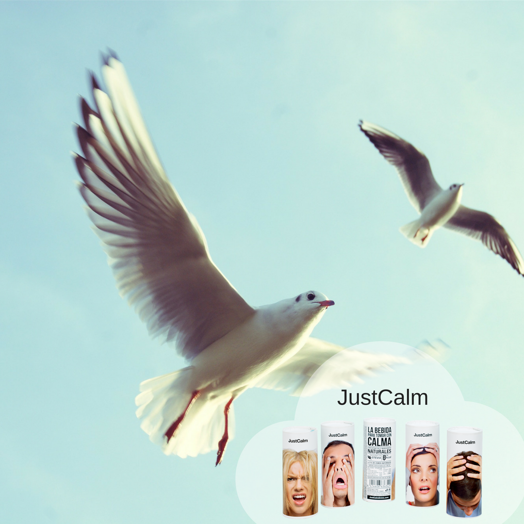 JustCalmDrink's tweet photo. Sensación de libertad cuando se acerca el finde, ¡eh! 🙏 Acompáñalo con #JustCalmDrink y a tomárselo con calma 💚 https://t.co/KL2I0qHdoa