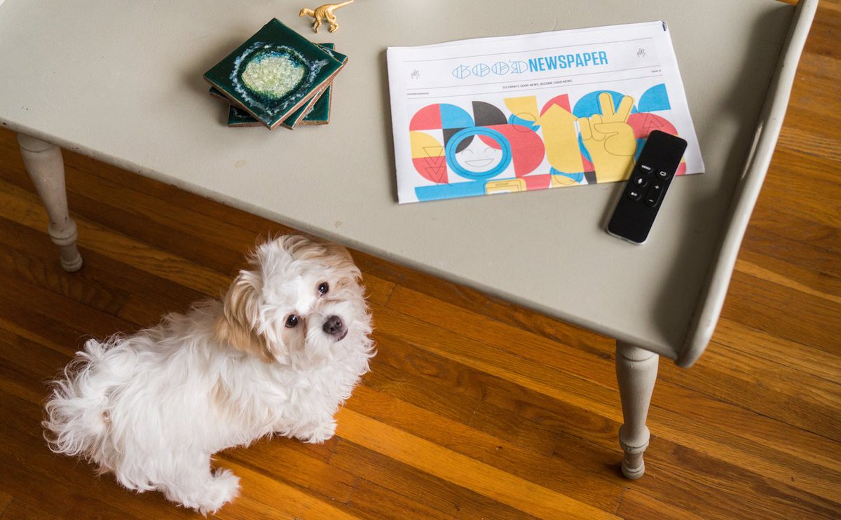 Goodnewspaper: A printed newspaper full of good news 🐶 producthunt.com/posts/goodnews…