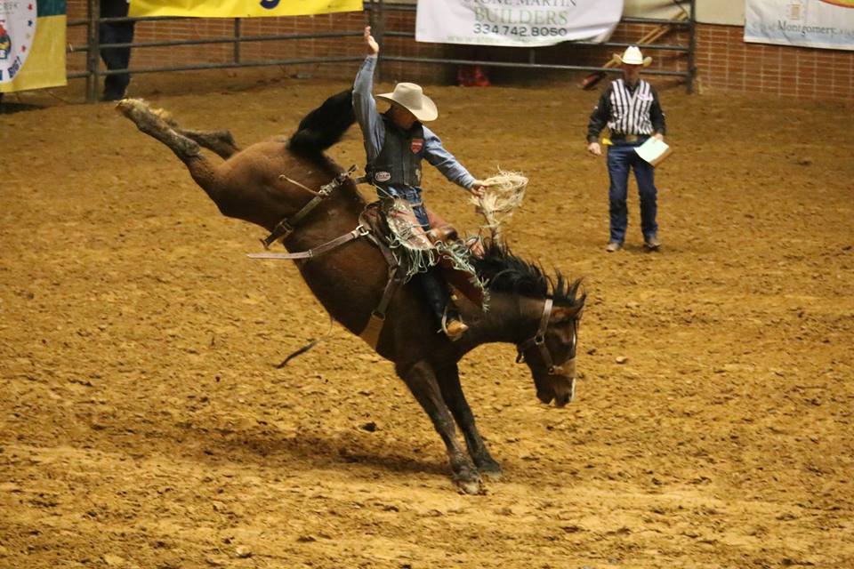 SLERodeo's tweet image. Bulls, barrels and buckin' broncos...they're all in town and ready to see YOU at the #SLERodeo17 starting TONIGHT at 7pm at Garrett Coliseum