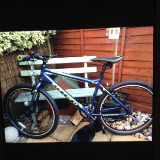 carrera axle blue