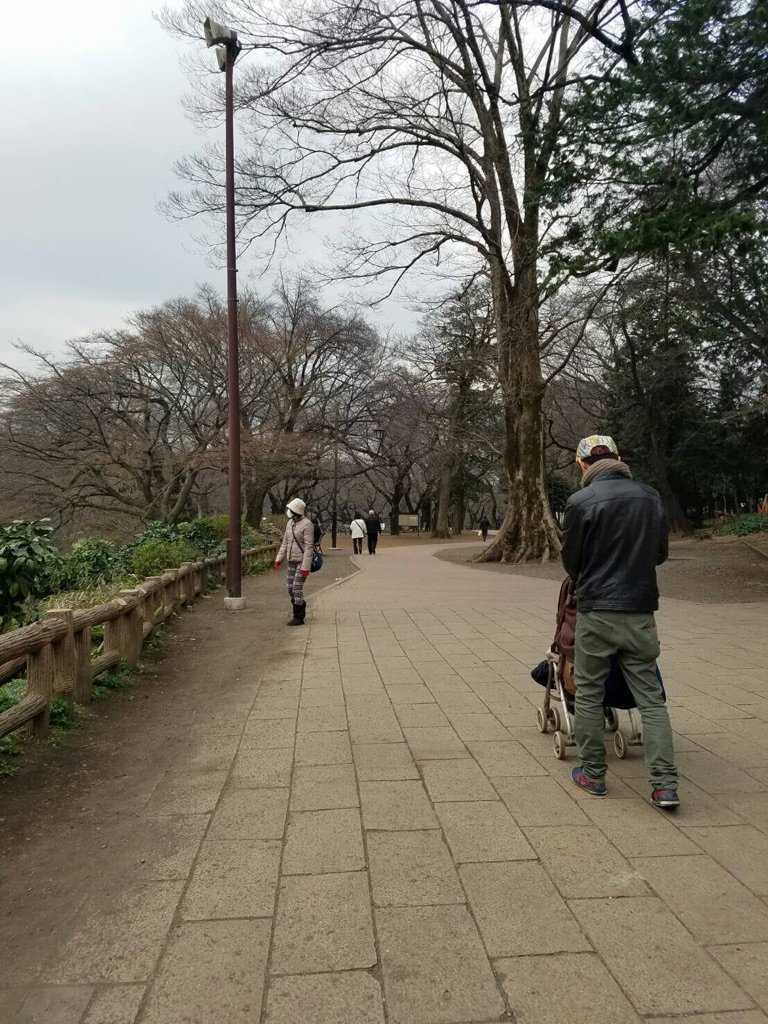 funk_dotitem's tweet photo. そいえば、再結成、1夜限りですがするんですって。
理由は、特に、ないw

あ、僕は元気です。 https://t.co/bdm0rwl5Nh