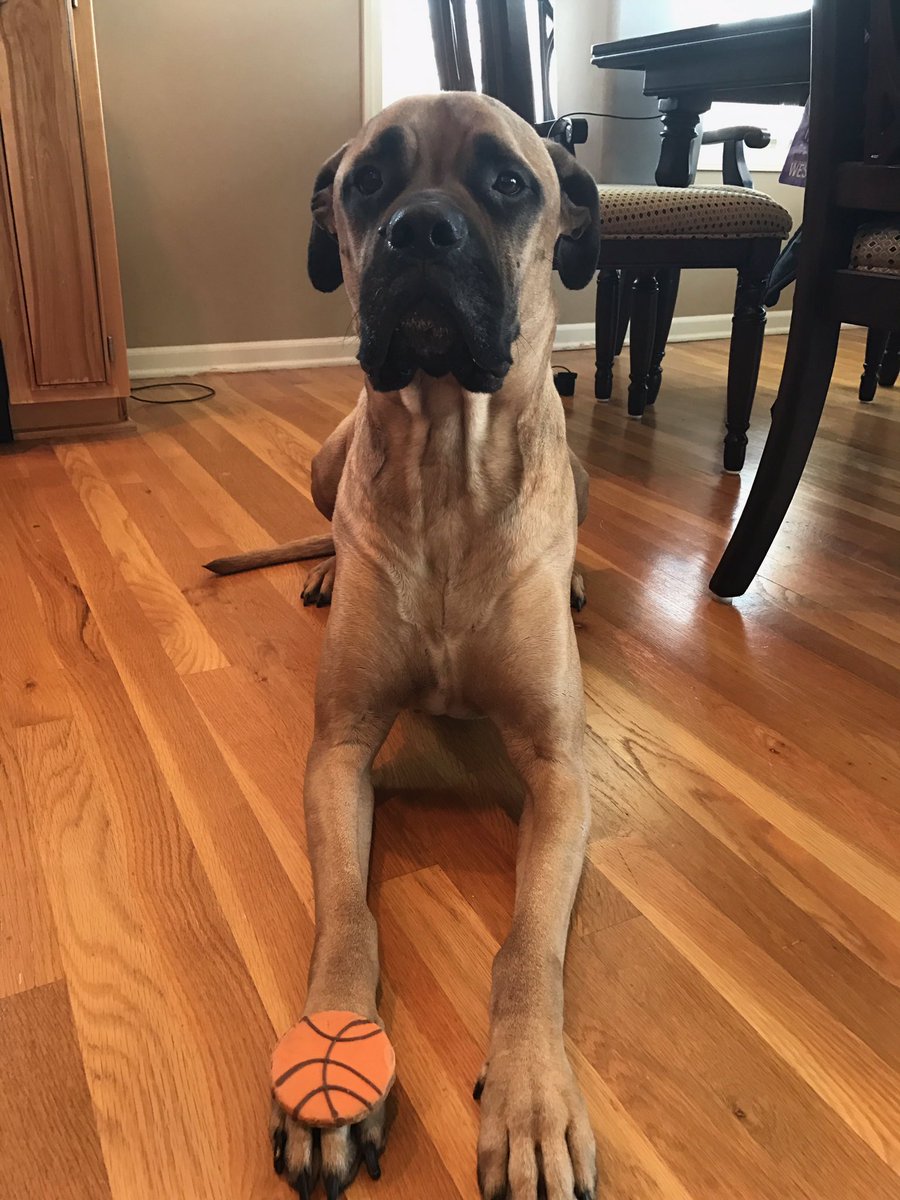 BrunoKilmer's tweet photo. I was born ready. #MarchMadness #handles https://t.co/H9l7BWMaHr