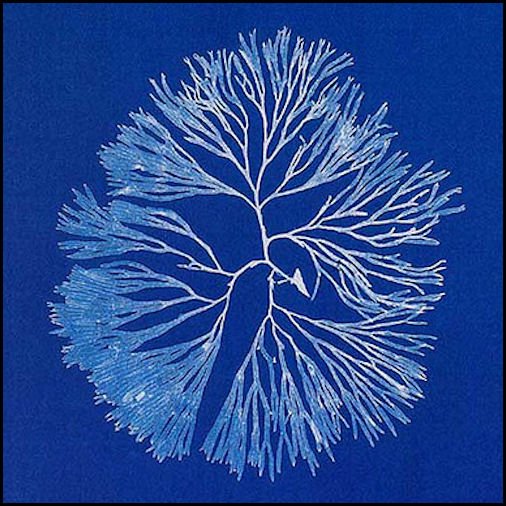 ArtBioCollab tweet picture