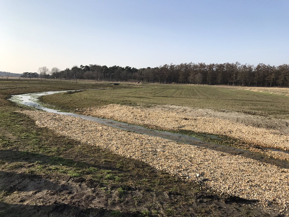 BeersHoogeloon's tweet photo. Officiële opening van het Project Landschotse Heide @wddommel  @RHDHV_Brabant https://t.co/0YlriUTUrn