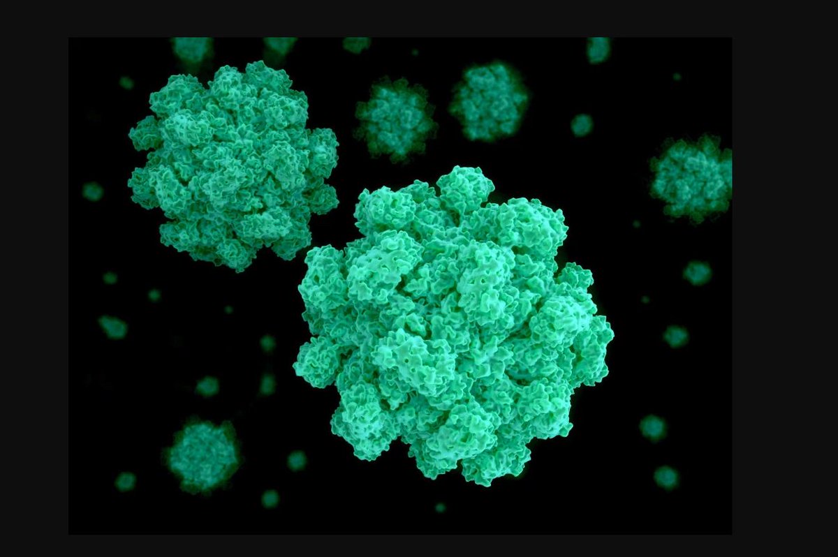 We are urging visitors to stay away from the hospital if they have “winter vomiting” to reduce the risk of passing bugs to our patients