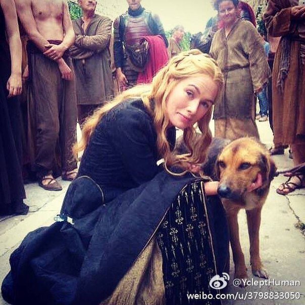 BowToQueenLena's tweet photo. CAN CERSEI  PLEASE GET A DOG  THIS IS SOOOOO CUTE https://t.co/nAaKER3Ypd