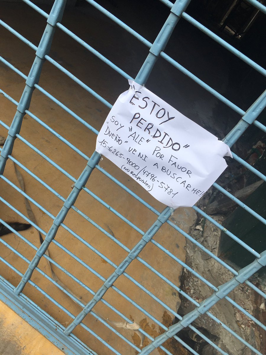 rochiibadino's tweet photo. Difundan por favor esta en una remiseria en maipu al 1400 https://t.co/e6YWewWgV6