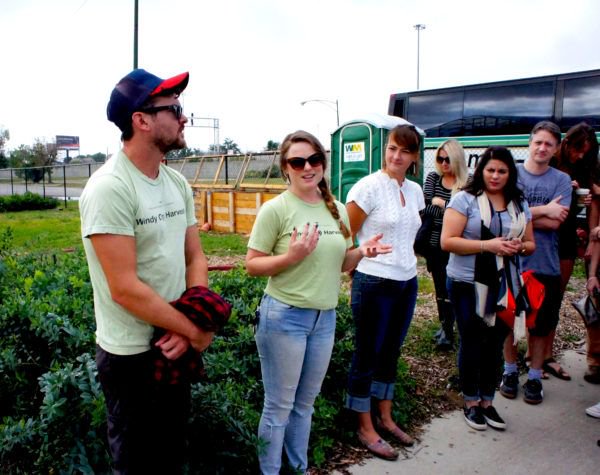 Chicago Botanic Garden On Twitter Windy City Harvest Growing