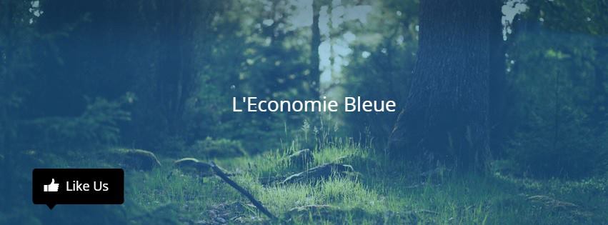 <a href="/jblineau/">Julian Blineau</a>, étudiant du MS #Audencia_SMED, vous présente <a href="/Ecobleue/">L'Economie Bleue</a> son blog sur l'économie bleue, l'économie écologique sur ecobleue.fr