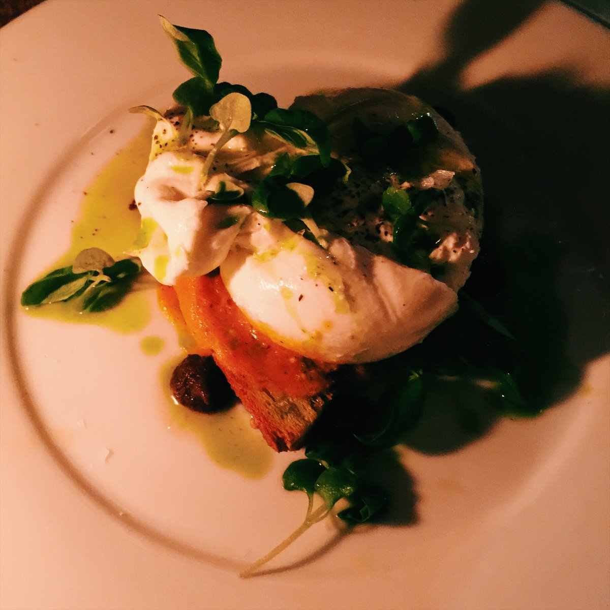 Angelica Malin tweet media