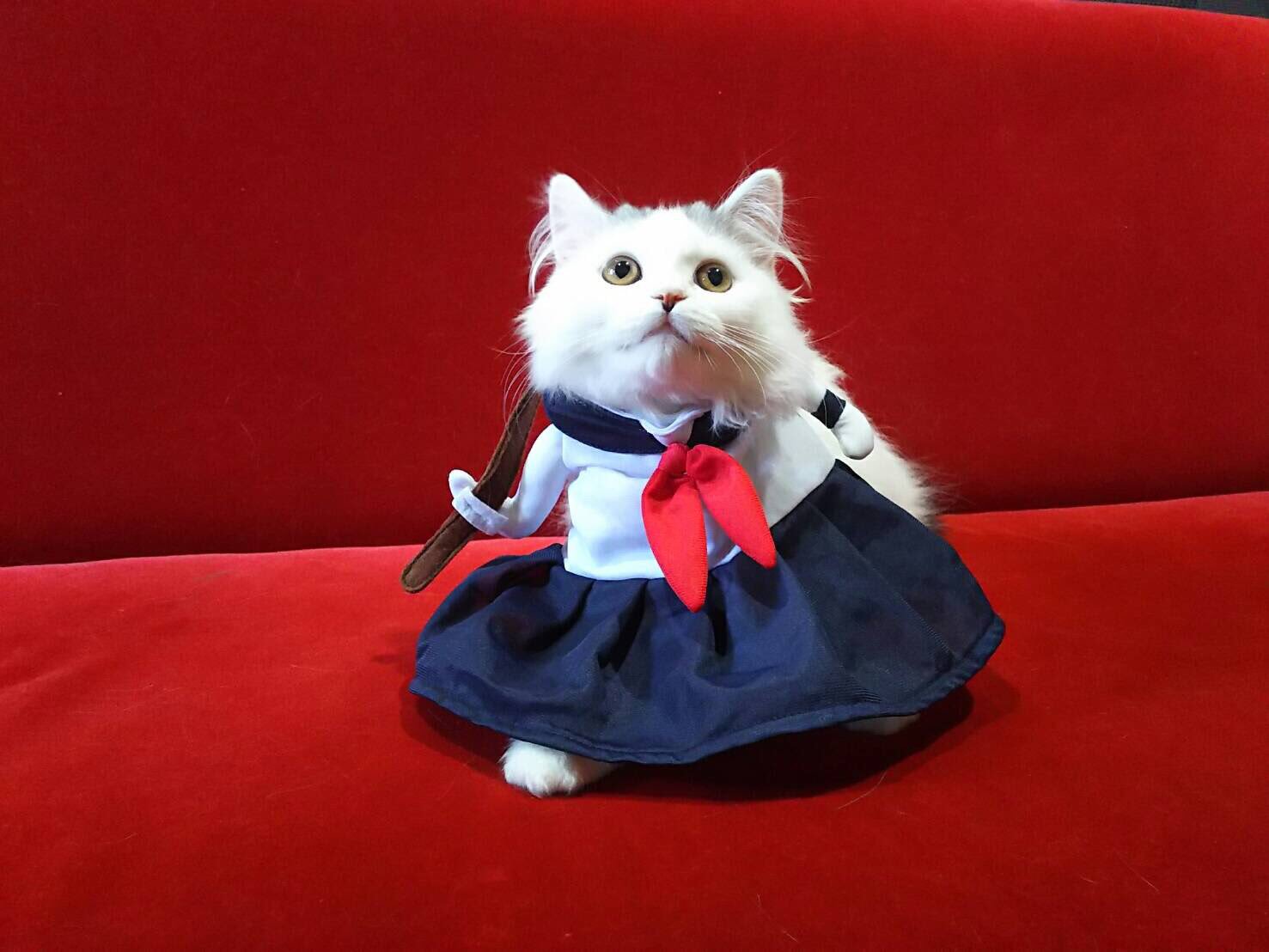 猫かふぇジュエリー Twitter Search Twitter