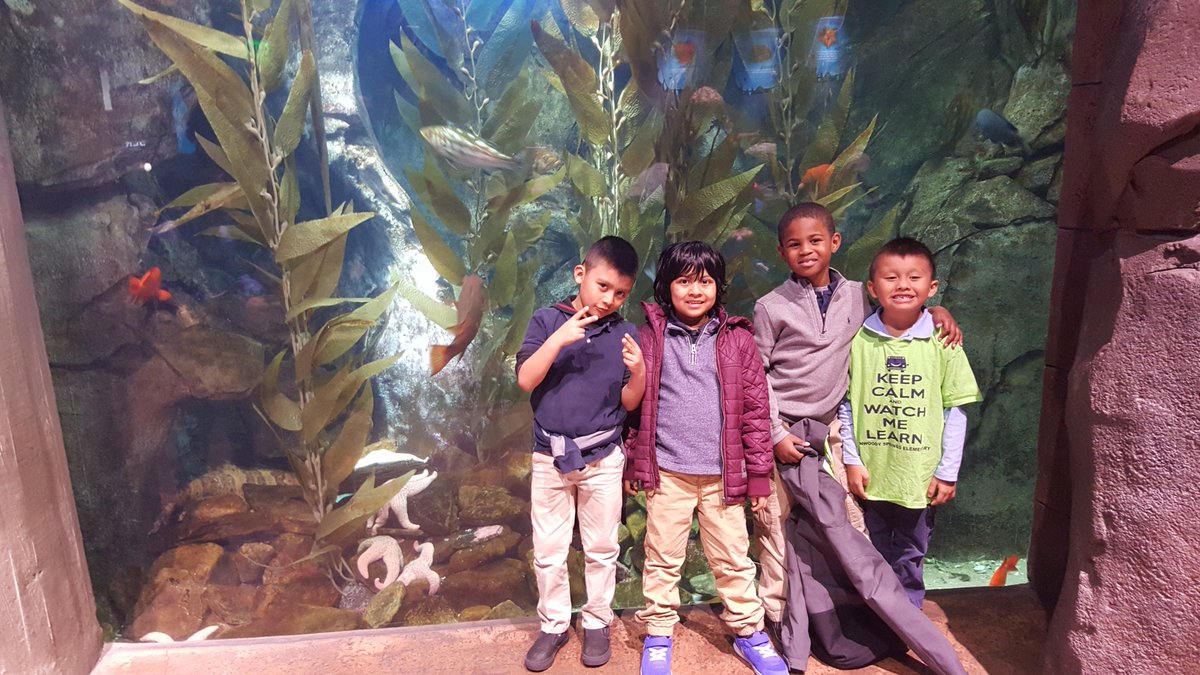 FlorM_SSCMS's tweet photo. My fantastic 4 enjoying the GA Aquarium! And a very friendly scuba diver!!!! @DSES_MsCormier @DunwoodySprings https://t.co/ulz64AB8ft