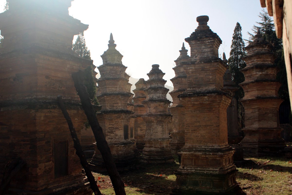 AmazingHenan's tweet photo. The Pagoda Forest in #Shaolin.
#WhereChinaBegan #AmazingHenan #BeautifulChina #Henan #China #PagodaForest #Dengfeng #ShaolinMonastery https://t.co/ybGPViYqke