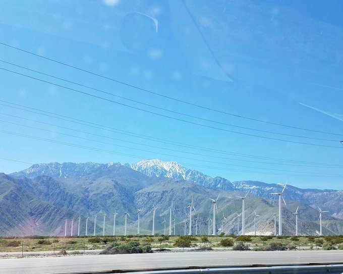 Byeel... Palm Springs... Always Awesome! https://t.co/DjX2EU1pFO<a href="/tag/kinky"class="tags"><span>#kinky</span></a><a href="/tag/femalemuscle"class="tags"><span>#femalemuscle</span></a><a href="/tag/chriscarr"class="tags"><span>#chriscarr</span></a>