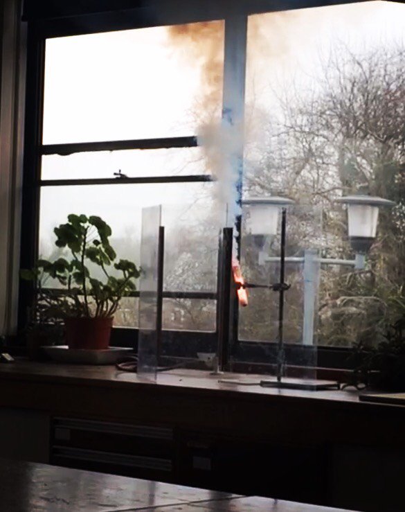 LMDCH Science tweet media