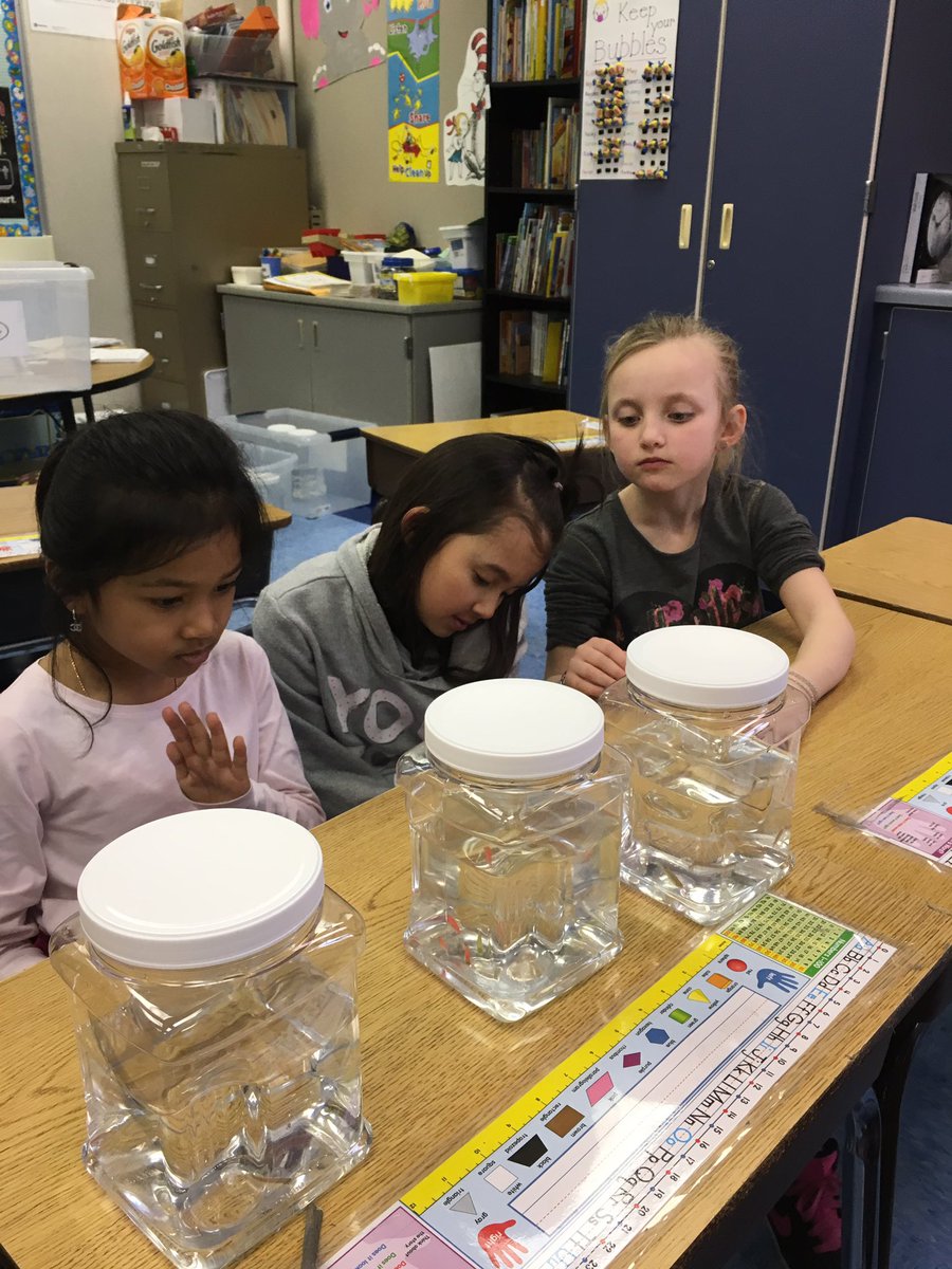 Making observations about zebrafish and wondering how they feel! #GageGators