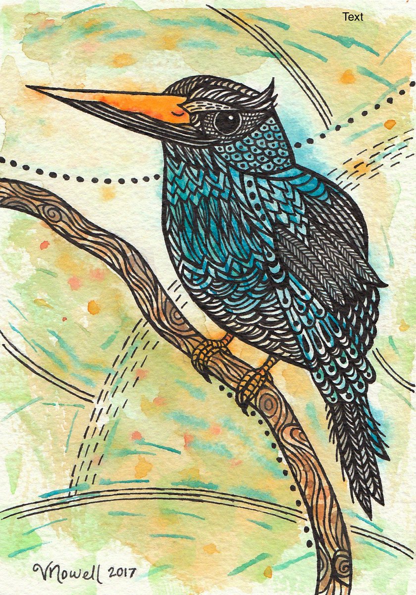 PAEartforacause's tweet photo. A lovely bird has winged it's way from Colorado! Thanks @vnowell3 for this great watercolour &amp; ink card - 'Blue-Breasted Kingfisher' #TAE17 https://t.co/GUGwvUpsL6
