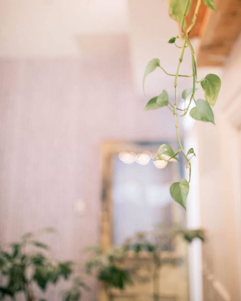 Pretty little details 🌿 @_mamantoronto_ bit.ly/2mNQhhl